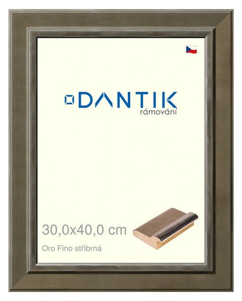 DANTIK rám na obraz 30x40 | Oro Fino stříbrná (Plexi Čiré)