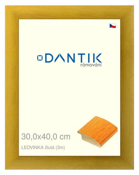 DANTIK rám na obraz 30x40 | LEDVINKA žlutá (Plexi Čiré)