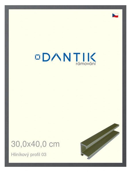 DANTIK rám na obraz 30x40 | ALU Platina matná (Plexi Čiré)