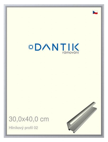DANTIK rám na obraz 30x40 | ALU Stříbrná matná (Plexi Čiré)