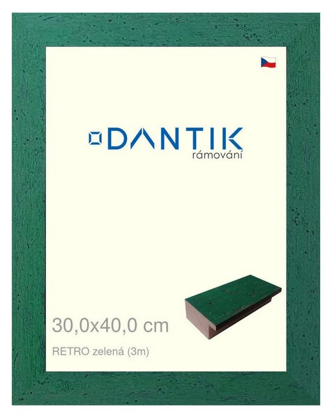 DANTIK rám na obraz 30x40 | RETRO zelená (Plexi Čiré)