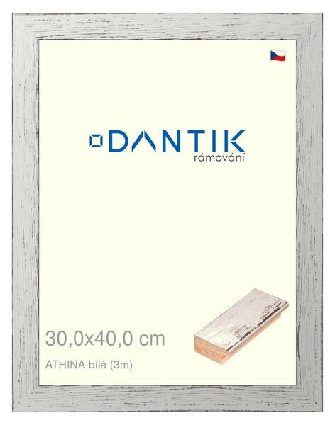 DANTIK rám na obraz 30x40 | ATHINA Bílá (Plexi Čiré)
