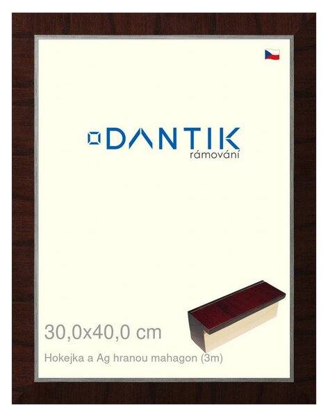 DANTIK rám na obraz 30x40 | Hokejka a Ag hranou mahagon (Plexi Čiré)