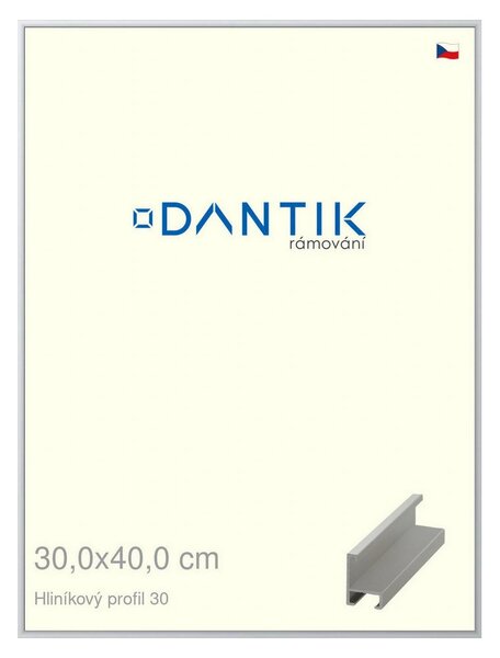 DANTIK rám na obraz 30x40 | ALU Stříbrná matná (Plexi Čiré)