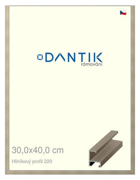DANTIK rám na obraz 30x40 | ALU champagne (Plexi Čiré)