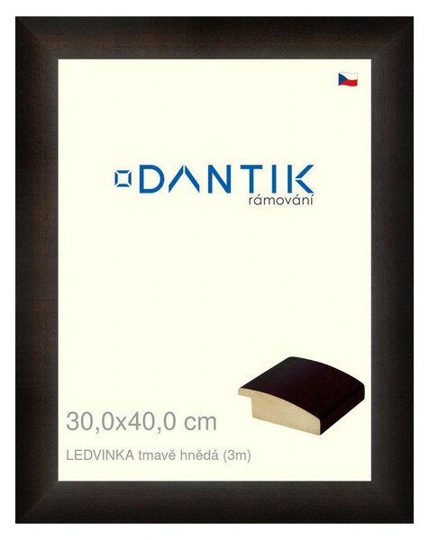 DANTIK rám na obraz 30x40 | LEDVINKA tmavě hnědá (Plexi Čiré)
