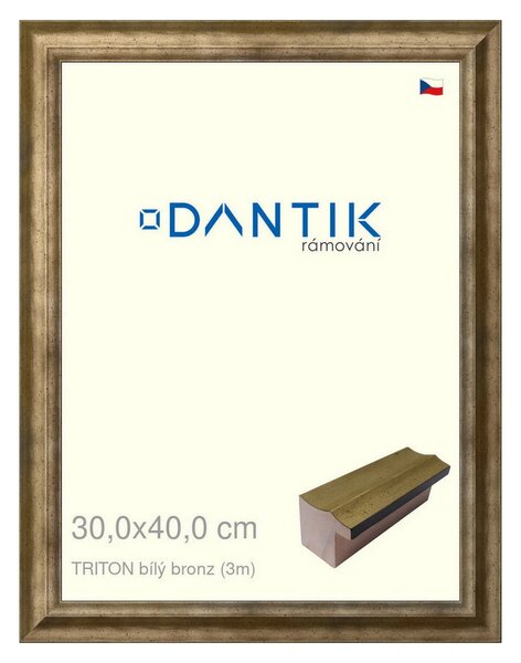 DANTIK rám na obraz 30x40 | TRITON bílý bronz (Plexi Čiré)