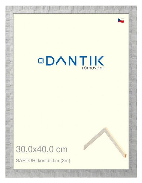 DANTIK rám na obraz 30x40 | SARTORI kost.bí.l.m (Plexi Čiré)