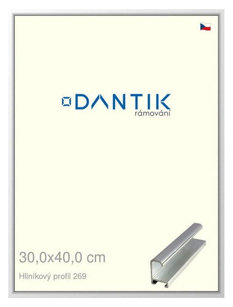 DANTIK rám na obraz 30x40 | ALU Stříbrná lesklá (Plexi Čiré)
