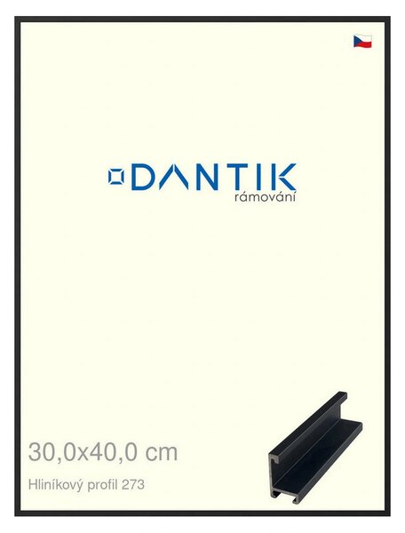 DANTIK rám na obraz 30x40 | ALU Černá matná (Plexi Čiré)