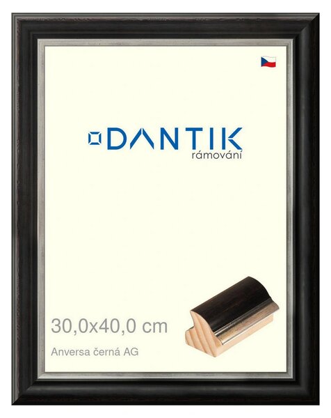 DANTIK rám na obraz 30x40 | ANIVERSA černá AG (Plexi Čiré)