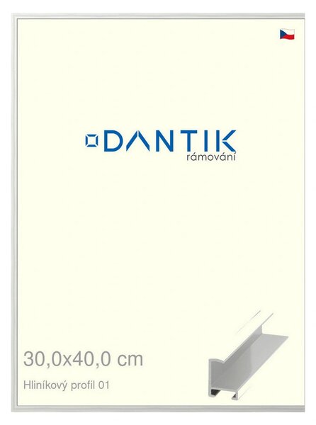 DANTIK rám na obraz 30x40 | ALU Stříbrná lesklá (Plexi Čiré)