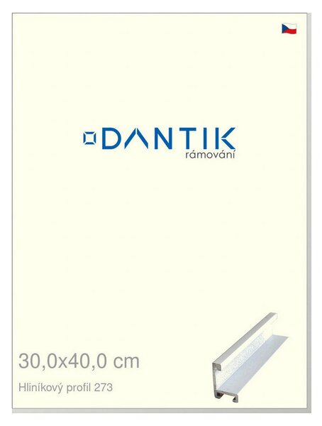 DANTIK rám na obraz 30x40 | ALU Bílá matná (Plexi Čiré)