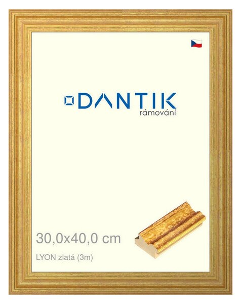 DANTIK rám na obraz 30x40 | LYON zlatá (Plexi Čiré)
