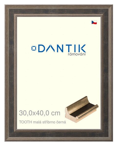 DANTIK rám na obraz 30x40 | TOOTH malá stříbrno černá (Plexi Čiré)