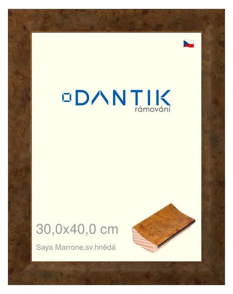DANTIK rám na obraz 30x40 | Saya Marrone sv.hnědá (Plexi Čiré)