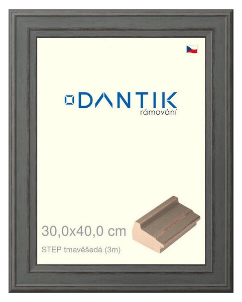 DANTIK rám na obraz 30x40 | STEP tmavěšedá (Plexi Čiré)