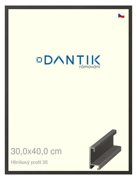DANTIK rám na obraz 30x40 | ALU Dýha černá (Plexi Čiré)