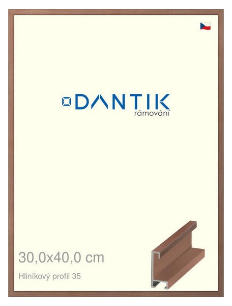 DANTIK rám na obraz 30x40 | ALU Dýha ořech (Plexi Čiré)