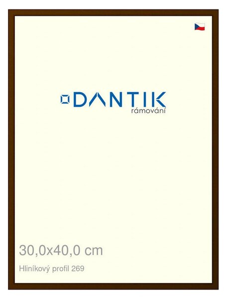 DANTIK rám na obraz 30x40 | ALU Hnědá umbra broušená (Plexi Čiré)