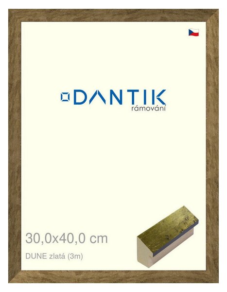 DANTIK rám na obraz 30x40 | DUNE zlatá (Plexi Čiré)