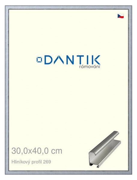 DANTIK rám na obraz 30x40 | ALU Sstříbrná broušená (Plexi Čiré)