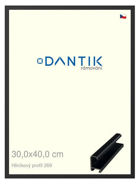 DANTIK rám na obraz 30x40 | ALU Černá matná (Plexi Čiré)