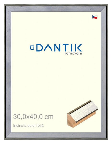 DANTIK rám na obraz 30x40 | INCLINATA colori Bílá (Plexi Čiré)