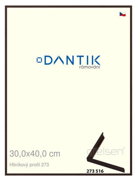 DANTIK rám na obraz 30x40 | ALU Dýha wenge tmavá (Plexi Čiré)