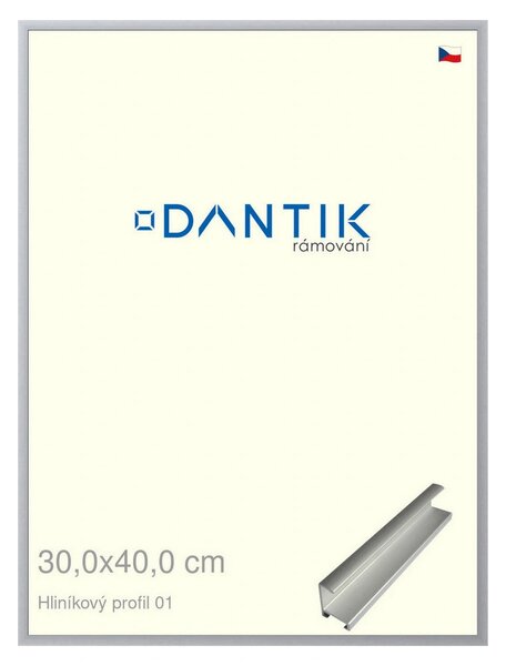 DANTIK rám na obraz 30x40 | ALU Stříbrná matná (Plexi Čiré)