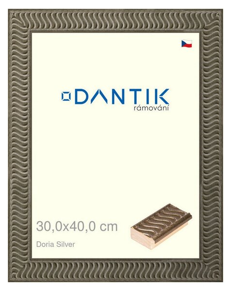 DANTIK rám na obraz 30x40 | Doria Silver (Plexi Čiré)