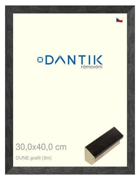 DANTIK rám na obraz 30x40 | DUNE grafit (Plexi Čiré)