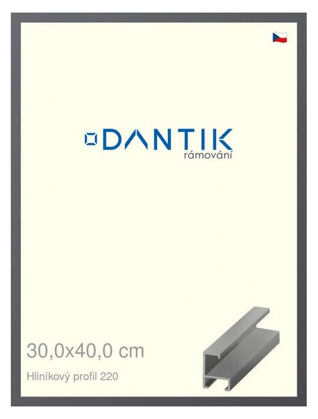 DANTIK rám na obraz 30x40 | ALU Ocelová (Plexi Čiré)