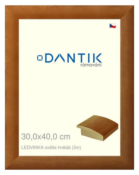 DANTIK rám na obraz 30x40 | LEDVINKA světle hnědá (Plexi Čiré)