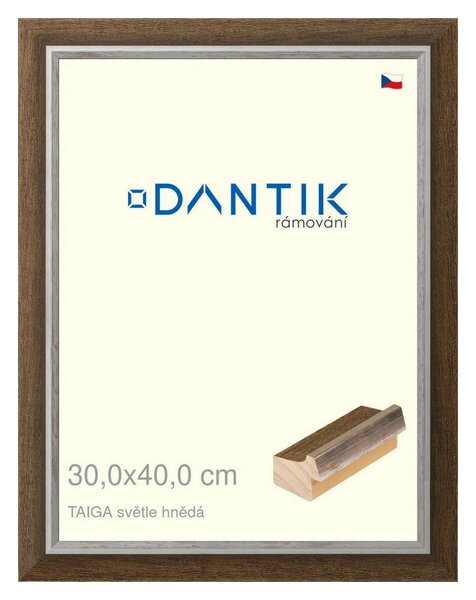 DANTIK rám na obraz 30x40 | TAIGA sv.hnědá (Plexi Čiré)