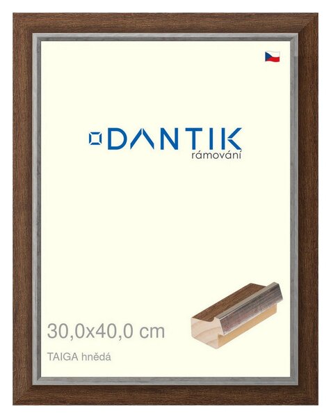 DANTIK rám na obraz 30x40 | TAIGA hnědá (Plexi Čiré)