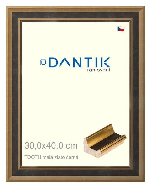 DANTIK rám na obraz 30x40 | TOOTH malá zlato černá (Plexi Čiré)