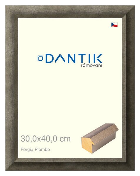 DANTIK rám na obraz 30x40 | Forgia Piombo (Plexi Čiré)