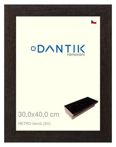DANTIK rám na obraz 30x40 | RETRO černá (Plexi Čiré)