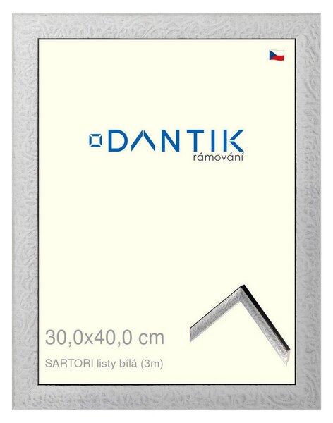 DANTIK rám na obraz 30x40 | SARTORI listy čílá (Plexi Čiré)