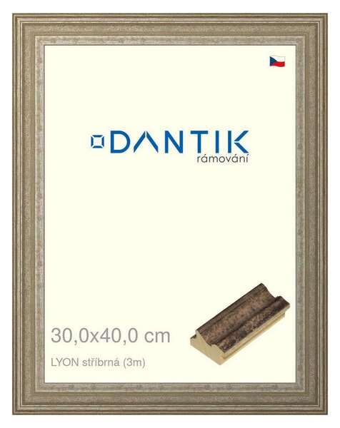 DANTIK rám na obraz 30x40 | LYON stříbrná (Plexi Čiré)