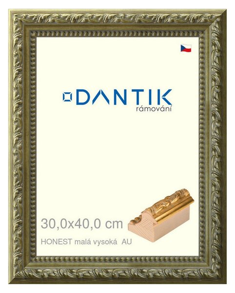 DANTIK rám na obraz 30x40 | HONEST malá vysoká AU (Plexi Čiré)