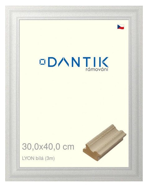 DANTIK rám na obraz 30x40 | LYON Bílá (Plexi Čiré)