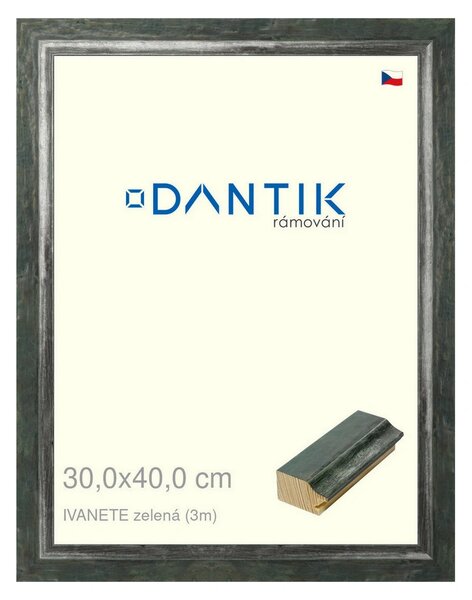 DANTIK rám na obraz 30x40 | IVANETE zelená (Plexi Čiré)