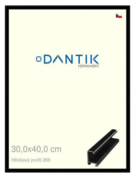DANTIK rám na obraz 30x40 | ALU Černá lesklá (Plexi Čiré)