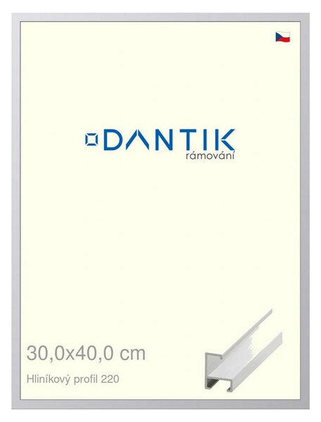 DANTIK rám na obraz 30x40 | ALU Bílá matná (Plexi Čiré)