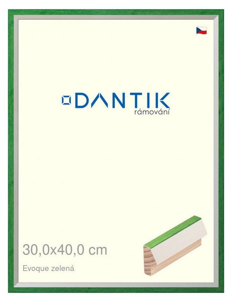 DANTIK rám na obraz 30x40 | EVOQUE zelená (Plexi Čiré)