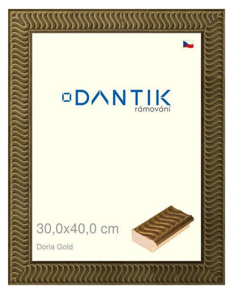 DANTIK rám na obraz 30x40 | Doria Gold (Plexi Čiré)
