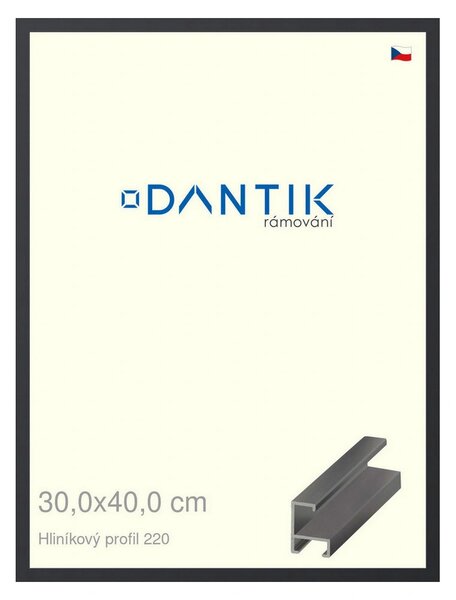 DANTIK rám na obraz 30x40 | ALU Černá matná (Plexi Čiré)