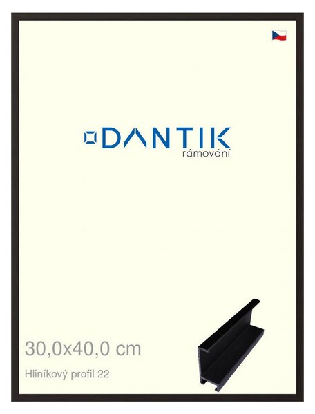 DANTIK rám na obraz 30x40 | ALU Černá matná (Plexi Čiré)